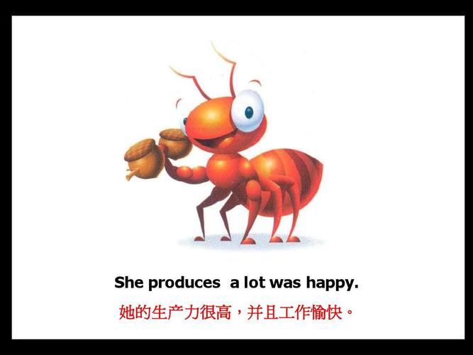 蚂蚁的英语是什么