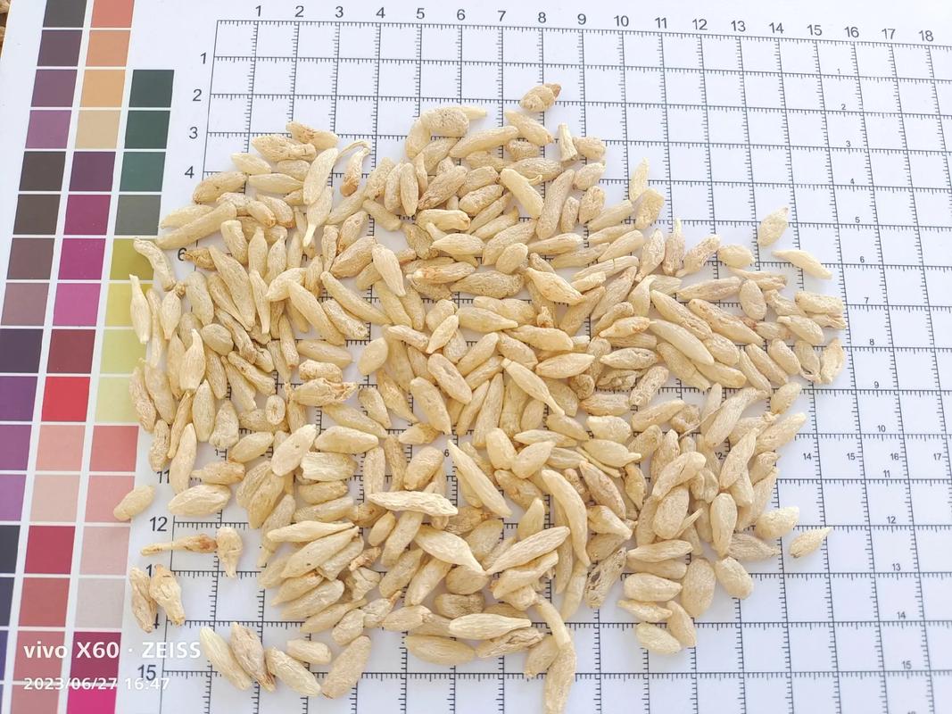 麦冬的价格多少钱一斤的相关图片